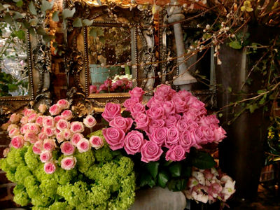 【北海道札幌】花屋検索サイト＿札幌市内のお花屋さんを探し、大切な方にフラワーギフト、結婚式用のブーケ、フラワーアレンジメントを贈りたいあなたへ。My florist magazine (マイフローリストマガジン）