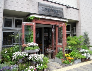 月花 -THUKIKA-　札幌円山の花屋　円山裏参道の鉢物から切り花まで扱うかわいいお店