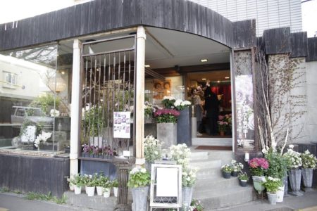 AROUND THE CORNER　アラウンド・ザ・コーナー　札幌円山の花屋　円山公園の角にある、観葉植物のお店